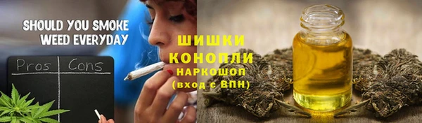 PSILOCYBIN Гатчина