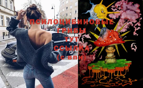 МДМА Алексеевка