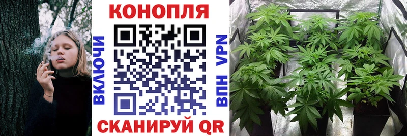 где найти   Ипатово  Каннабис марихуана 